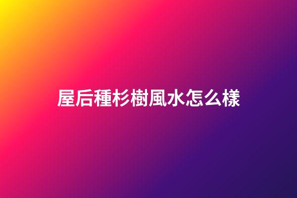 屋后種杉樹風水怎么樣