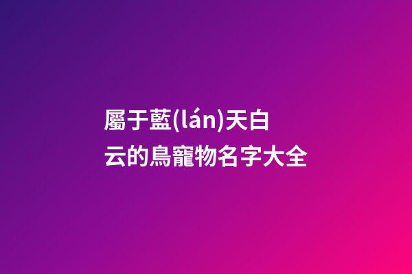 屬于藍(lán)天白云的鳥寵物名字大全
