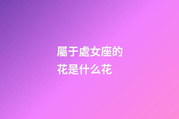 屬于處女座的花是什么花-第1張-星座運勢-玄機派