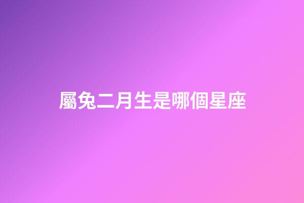 屬兔二月生是哪個星座