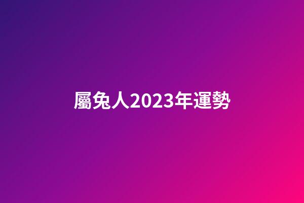 屬兔人2023年運勢（14年屬兔人屬于什么命）-第1張-星座運勢-玄機派