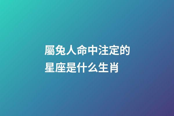 屬兔人命中注定的星座是什么生肖-第1張-星座運勢-玄機派