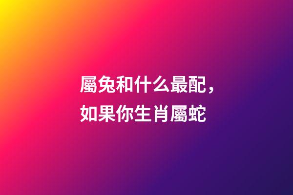 屬兔和什么最配，如果你生肖屬蛇-第1張-觀點-玄機派
