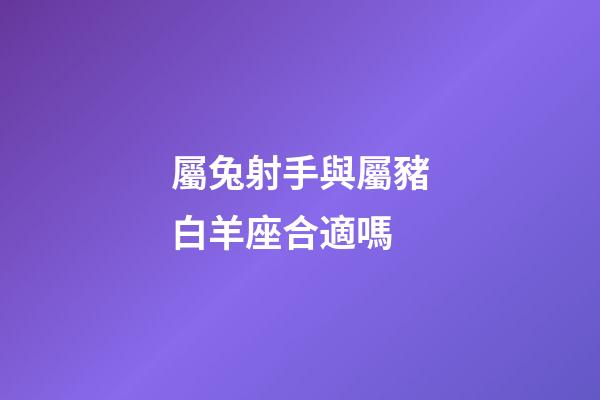屬兔射手與屬豬白羊座合適嗎-第1張-星座運勢-玄機派