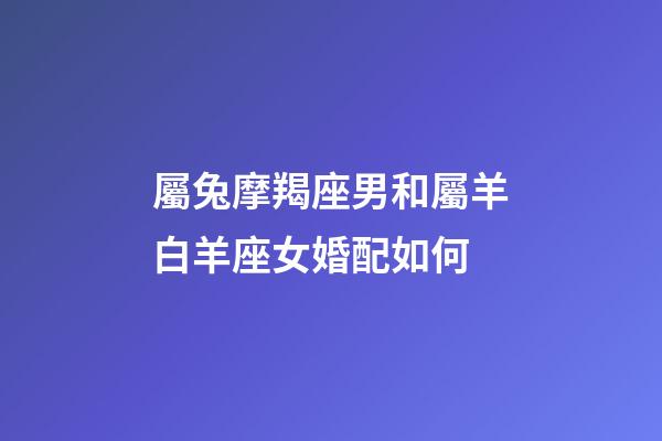 屬兔摩羯座男和屬羊白羊座女婚配如何-第1張-星座運(yùn)勢(shì)-玄機(jī)派