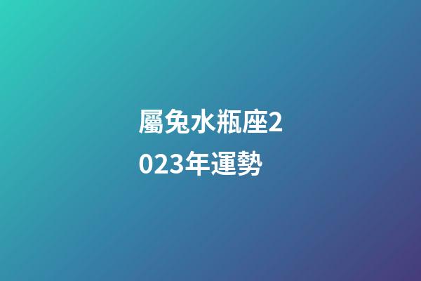 屬兔水瓶座2023年運勢-第1張-星座運勢-玄機派
