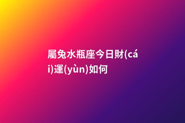 屬兔水瓶座今日財(cái)運(yùn)如何-第1張-星座運(yùn)勢(shì)-玄機(jī)派