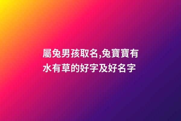 屬兔男孩取名,兔寶寶有水有草的好字及好名字-第1張-觀點-玄機派