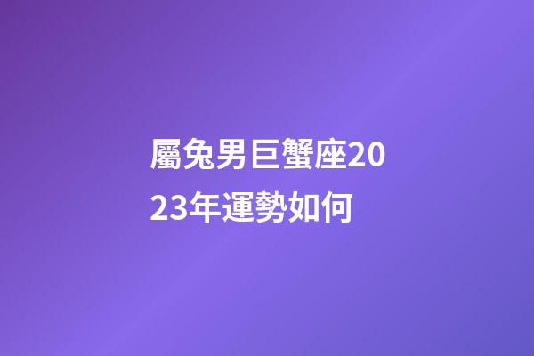 屬兔男巨蟹座2023年運勢如何-第1張-星座運勢-玄機派