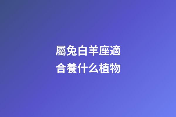 屬兔白羊座適合養什么植物-第1張-星座運勢-玄機派