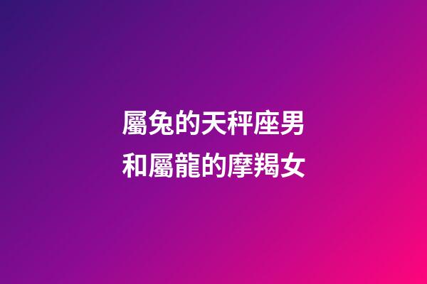 屬兔的天秤座男和屬龍的摩羯女-第1張-星座運勢-玄機派