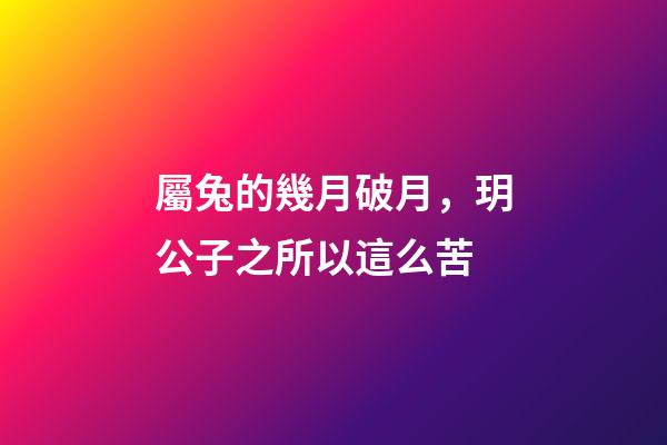 屬兔的幾月破月，玥公子之所以這么苦-第1張-觀點-玄機派