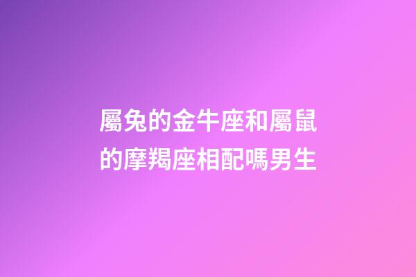 屬兔的金牛座和屬鼠的摩羯座相配嗎男生-第1張-星座運勢-玄機派