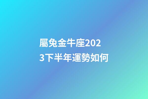 屬兔金牛座2023下半年運勢如何-第1張-星座運勢-玄機派