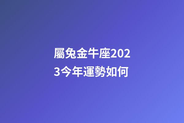 屬兔金牛座2023今年運勢如何-第1張-星座運勢-玄機派