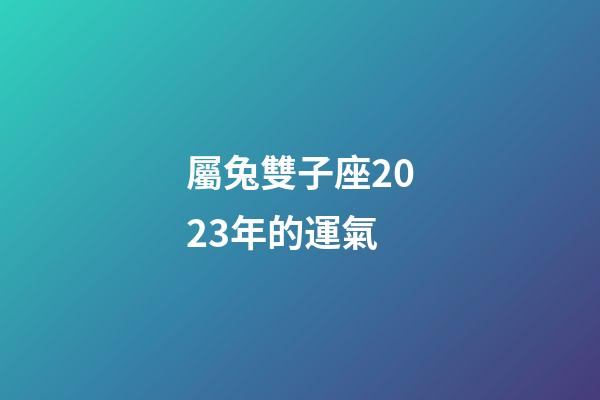 屬兔雙子座2023年的運氣-第1張-星座運勢-玄機派