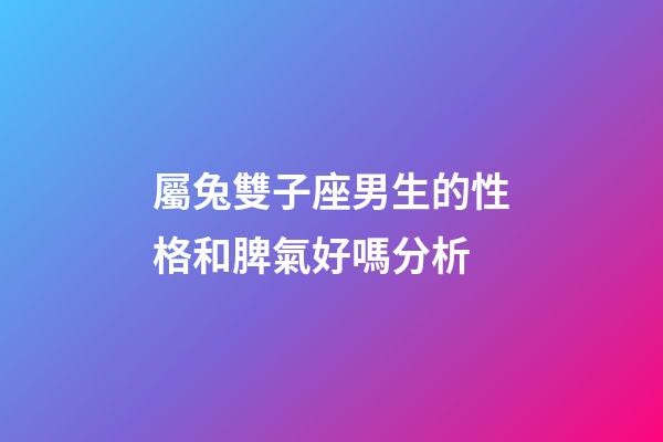 屬兔雙子座男生的性格和脾氣好嗎分析-第1張-星座運勢-玄機派