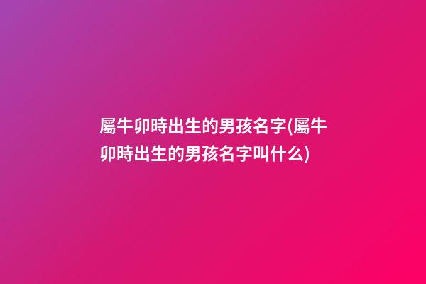 屬牛卯時出生的男孩名字(屬牛卯時出生的男孩名字叫什么)