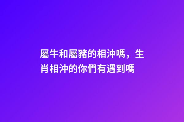屬牛和屬豬的相沖嗎，生肖相沖的你們有遇到嗎-第1張-觀點-玄機派