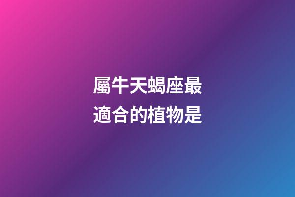 屬牛天蝎座最適合的植物是-第1張-星座運勢-玄機派