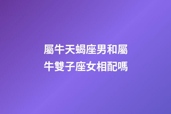 屬牛天蝎座男和屬牛雙子座女相配嗎-第1張-星座運勢-玄機派