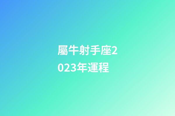 屬牛射手座2023年運程-第1張-星座運勢-玄機派