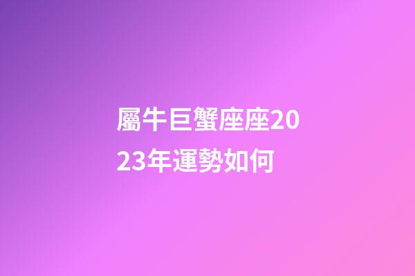 屬牛巨蟹座座2023年運勢如何