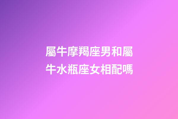 屬牛摩羯座男和屬牛水瓶座女相配嗎-第1張-星座運勢-玄機派