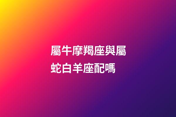 屬牛摩羯座與屬蛇白羊座配嗎-第1張-星座運勢-玄機派