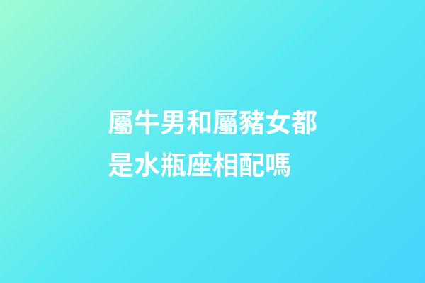 屬牛男和屬豬女都是水瓶座相配嗎-第1張-星座運勢-玄機派