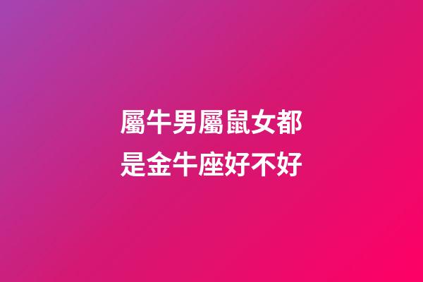 屬牛男屬鼠女都是金牛座好不好-第1張-星座運勢-玄機派