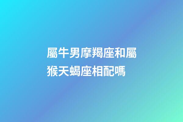 屬牛男摩羯座和屬猴天蝎座相配嗎-第1張-星座運勢-玄機派