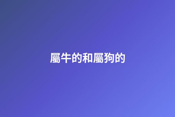 屬牛的和屬狗的（女狗比男牛大三歲合適不）-第1張-星座運勢-玄機派
