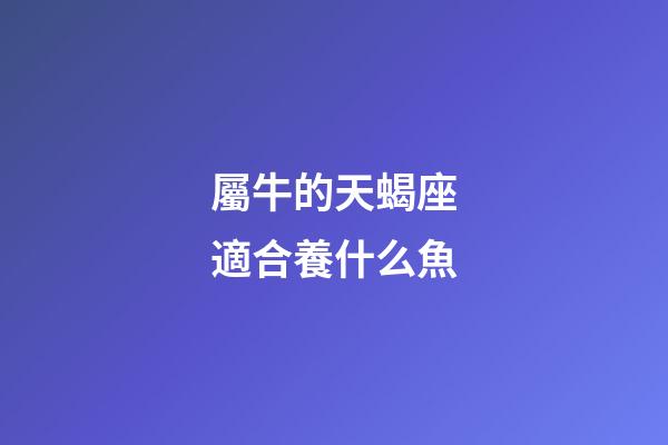 屬牛的天蝎座適合養什么魚-第1張-星座運勢-玄機派