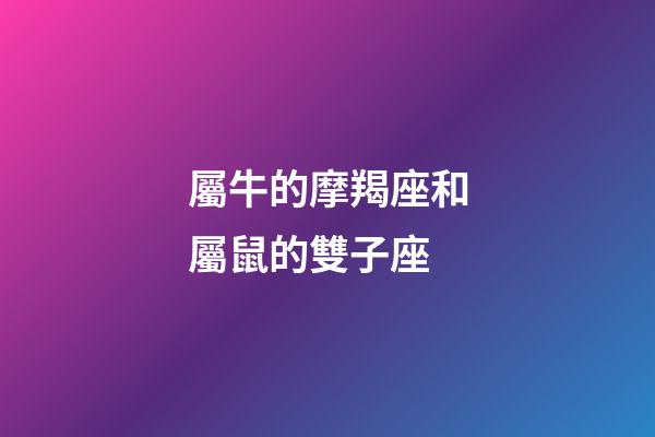 屬牛的摩羯座和屬鼠的雙子座-第1張-星座運勢-玄機派
