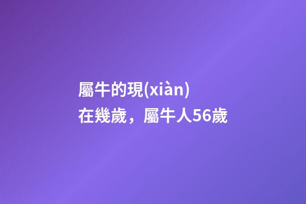 屬牛的現(xiàn)在幾歲，屬牛人56歲-第1張-觀點-玄機派
