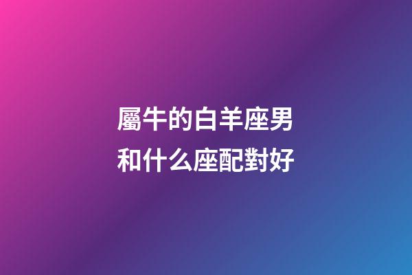 屬牛的白羊座男和什么座配對好-第1張-星座運勢-玄機派