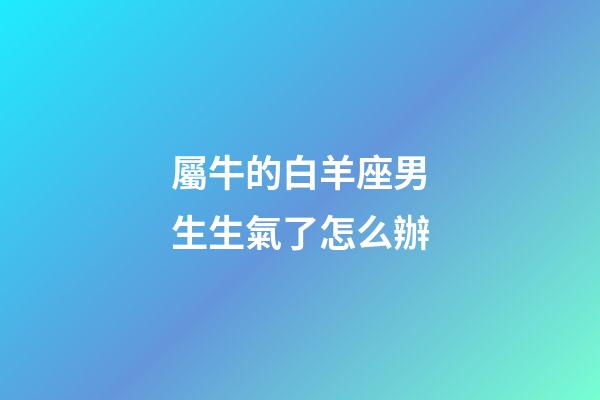 屬牛的白羊座男生生氣了怎么辦-第1張-星座運勢-玄機派