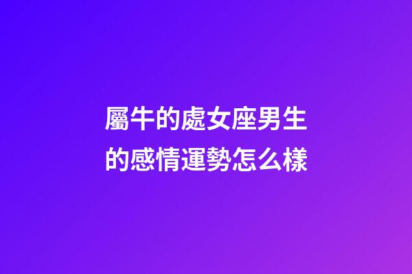 屬牛的處女座男生的感情運勢怎么樣-第1張-星座運勢-玄機派
