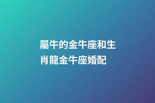 屬牛的金牛座和生肖龍金牛座婚配