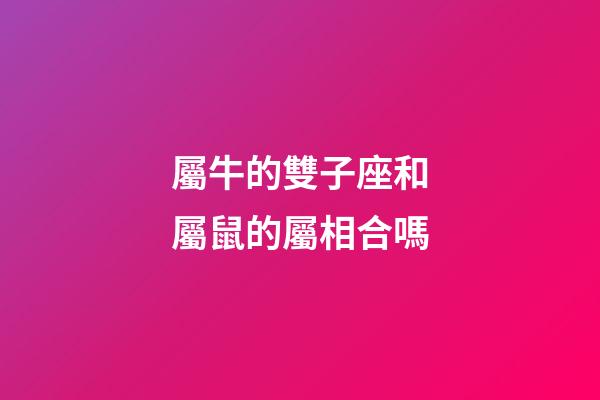 屬牛的雙子座和屬鼠的屬相合嗎-第1張-星座運勢-玄機派