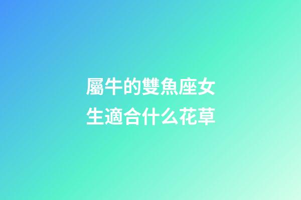 屬牛的雙魚座女生適合什么花草
