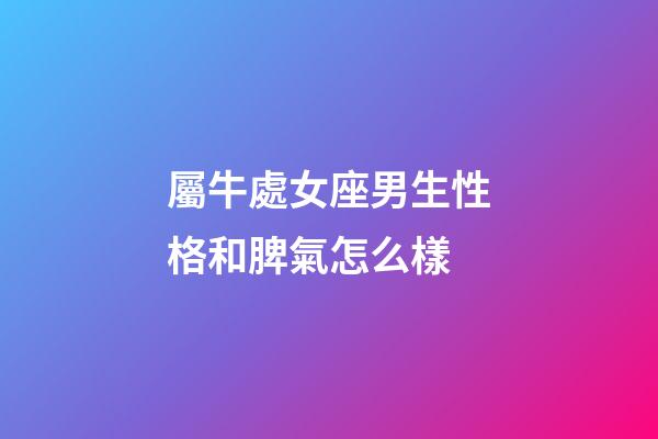 屬牛處女座男生性格和脾氣怎么樣-第1張-星座運勢-玄機派