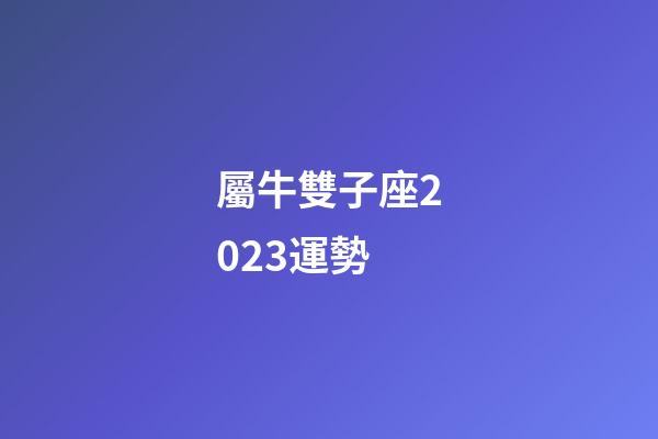 屬牛雙子座2023運勢-第1張-星座運勢-玄機派