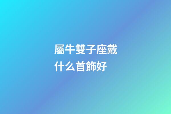 屬牛雙子座戴什么首飾好-第1張-星座運勢-玄機派