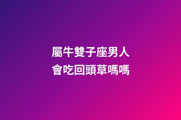 屬牛雙子座男人會吃回頭草嗎嗎-第1張-星座運勢-玄機派
