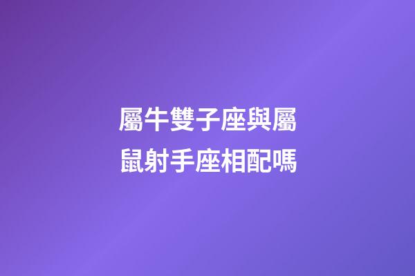 屬牛雙子座與屬鼠射手座相配嗎-第1張-星座運勢-玄機派
