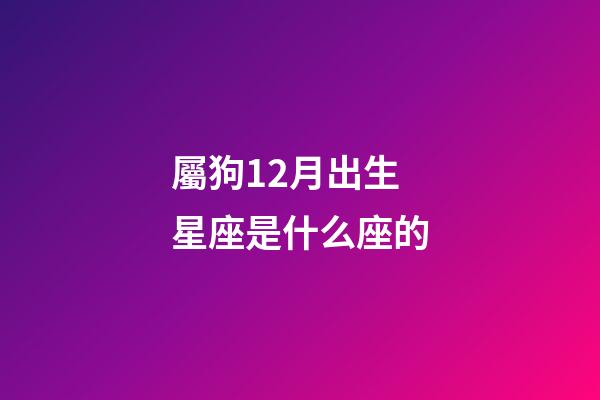 屬狗12月出生星座是什么座的
