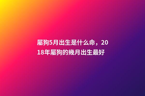 屬狗5月出生是什么命，2018年屬狗的幾月出生最好-第1張-觀點-玄機派