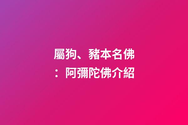屬狗、豬本名佛：阿彌陀佛介紹